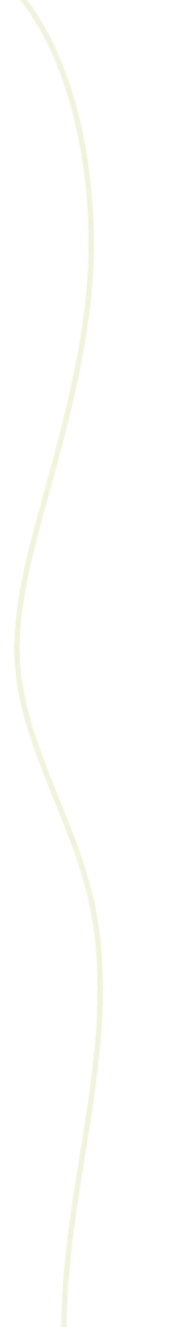 decor_liniia