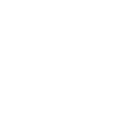Technology icon